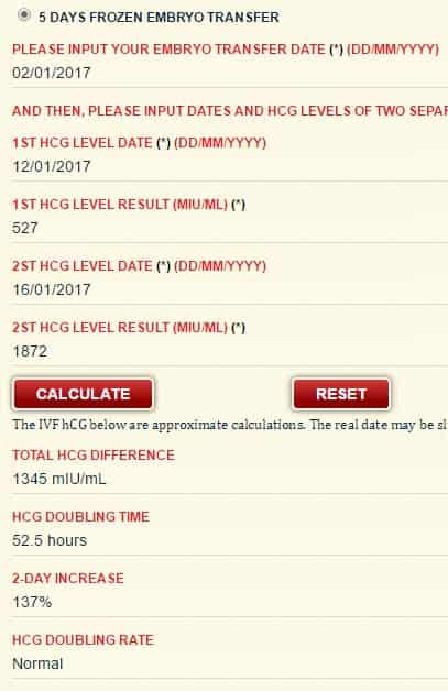 hCG levels using IVF with 5 Days FET